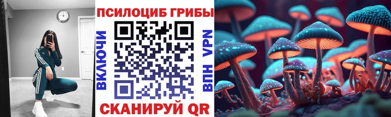 Галлюциногенные грибы Cubensis  дарнет шоп  Барыш 