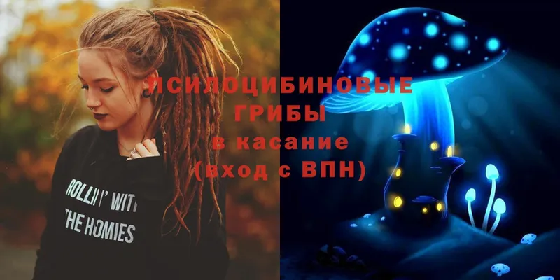 Псилоцибиновые грибы Psilocybe  где можно купить   Барыш 